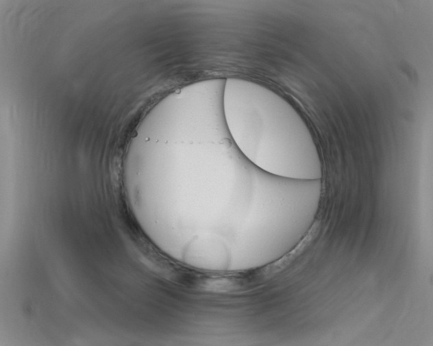 X0000115810171200911131049