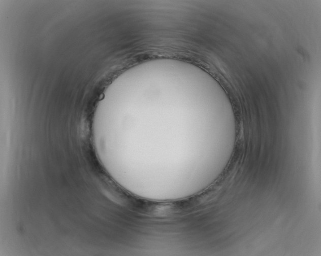 X0000115810173200911131050