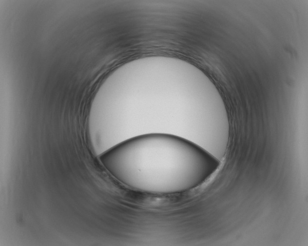 X0000115810174200911131050