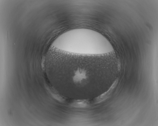 X0000115810175200911131050