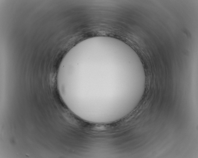 X0000115810177200911131050