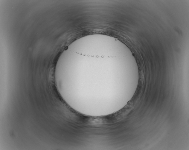 X0000115810181200911131050