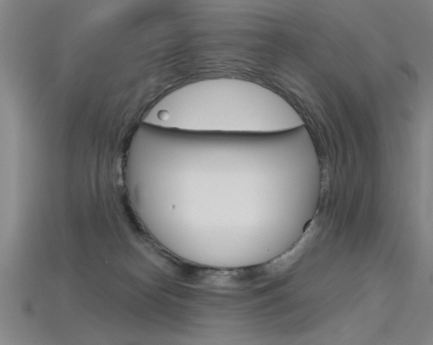 X0000115810182200911131050