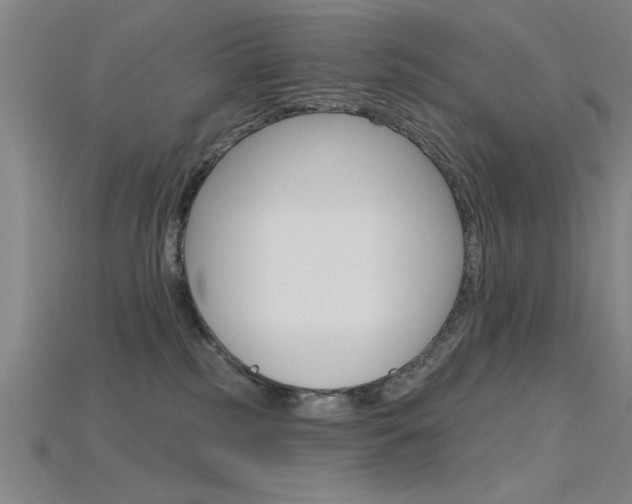 X0000115810185200911131050