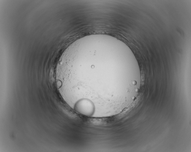 X0000115810187200911131050
