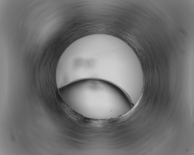X0000115810190200911131050