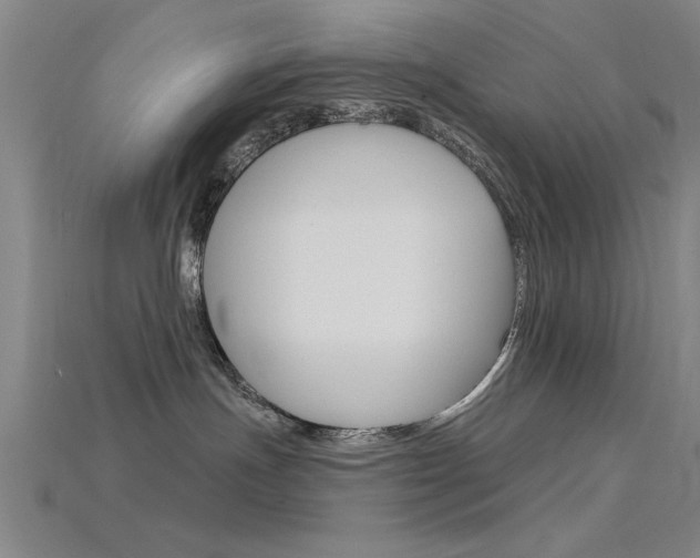 X0000115810191200911131050