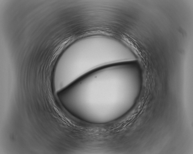 X0000115810193200911131049