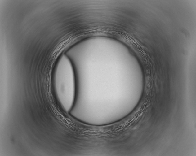 X0000115810194200911131049