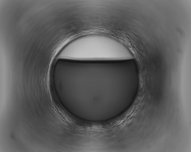 X0000115810196200911131049