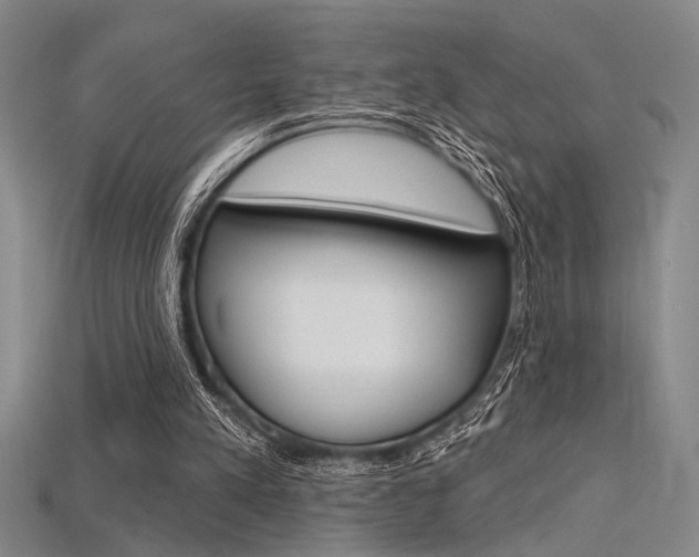 X0000115810197200911131049