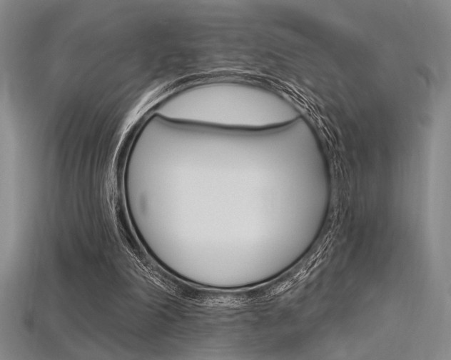 X0000115810198200911131049