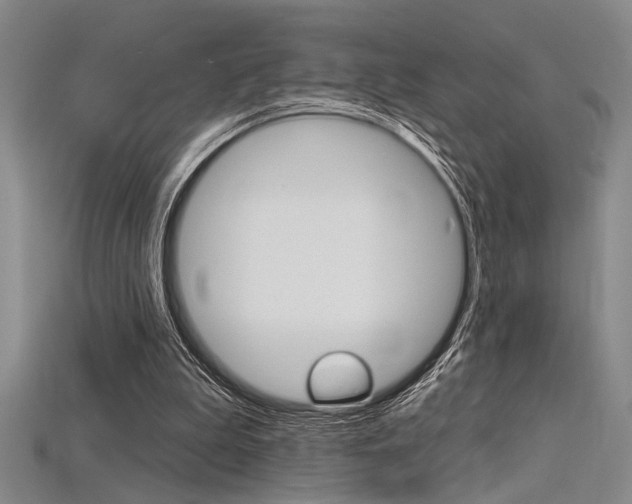 X0000115810199200911131049