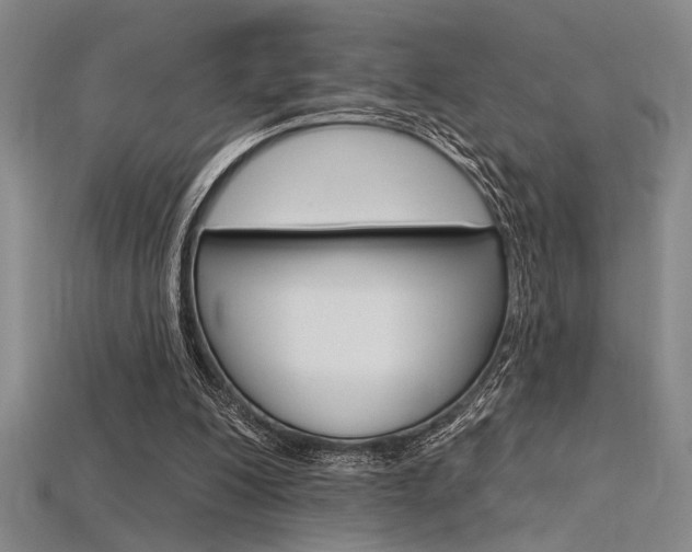 X0000115810200200911131049