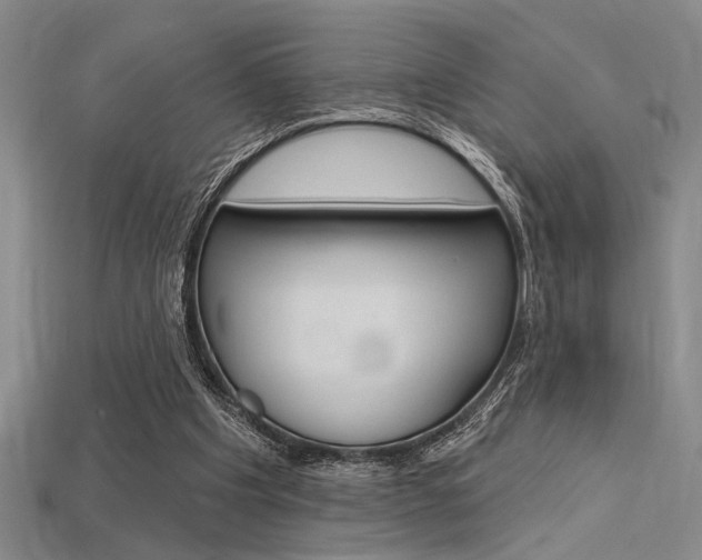 X0000115810201200911131049