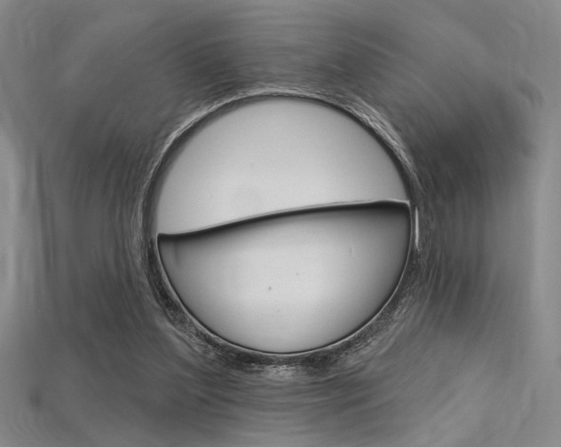 X0000115810204200911131049