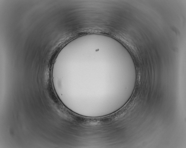 X0000115810206200911131049
