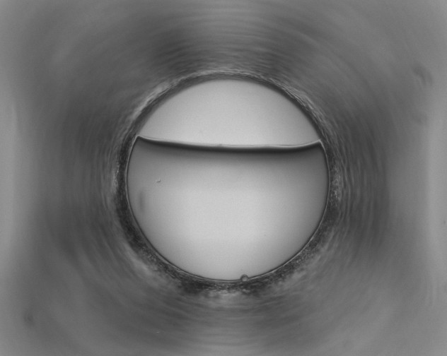 X0000115810208200911131049