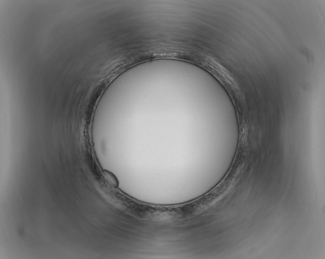 X0000115810209200911131049