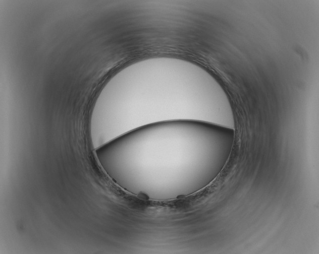 X0000115810211200911131049