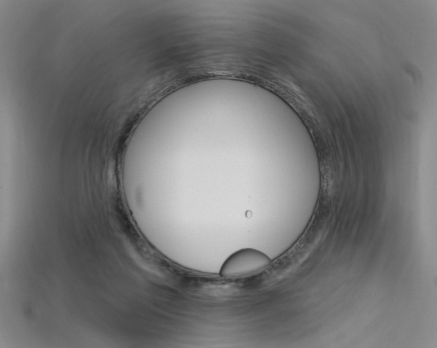 X0000115810213200911131049