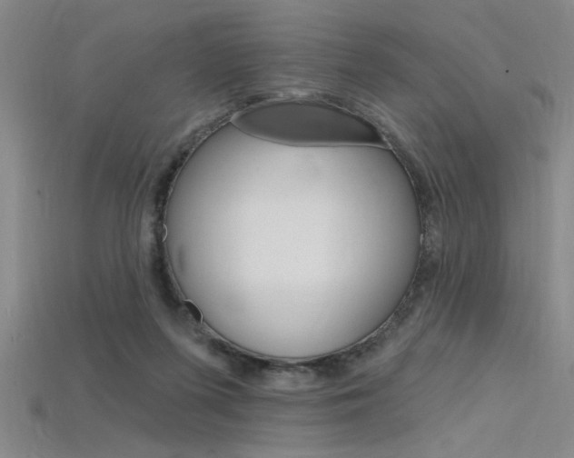 X0000115810215200911131049
