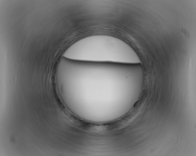 X0000115810217200911131049