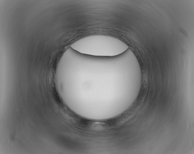X0000115810222200911131049