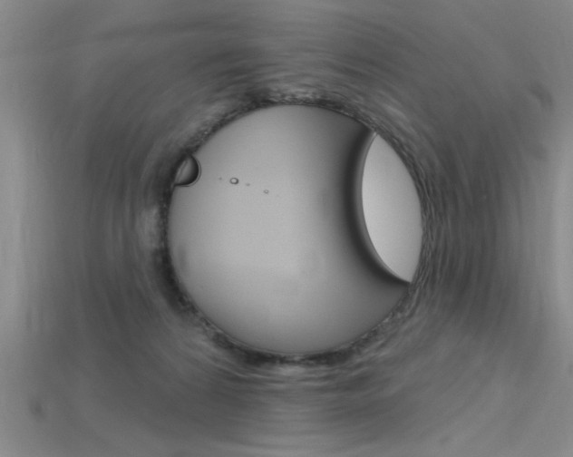 X0000115810224200911131049