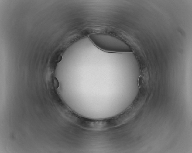 X0000115810225200911131049