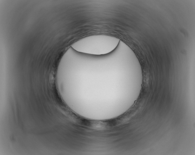 X0000115810226200911131049