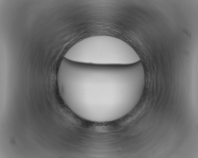 X0000115810228200911131049