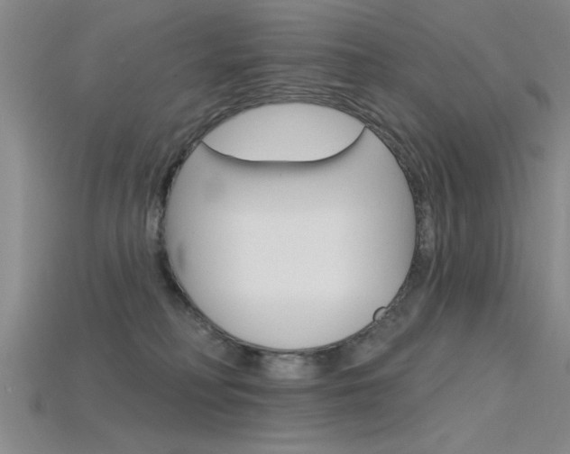 X0000115810230200911131049
