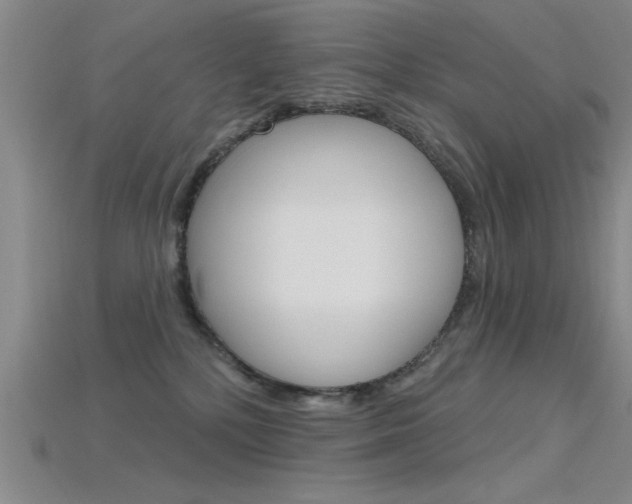 X0000115810232200911131049