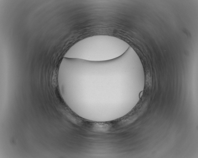 X0000115810234200911131049