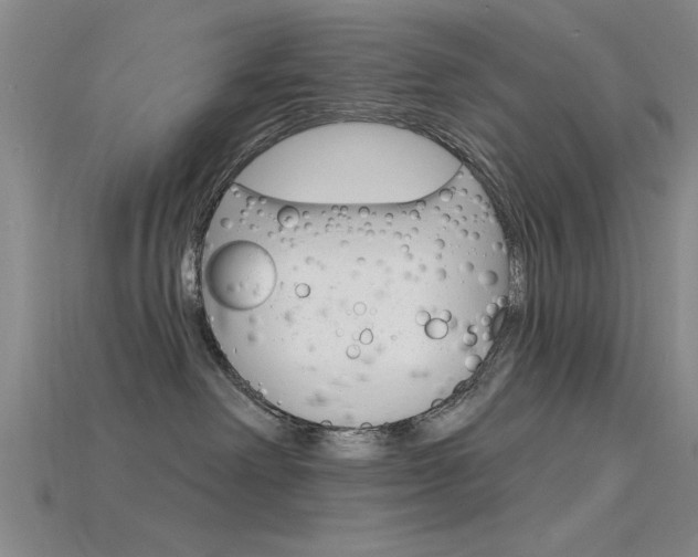 X0000115810238200911131049