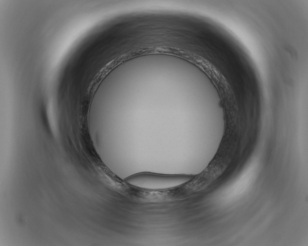 X0000115810239200911131049
