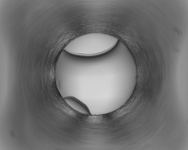 X0000115810240200911131049
