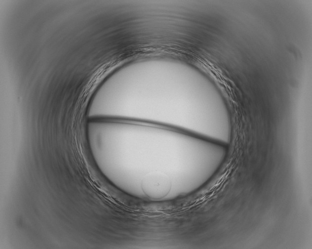 X0000115810241200911131048