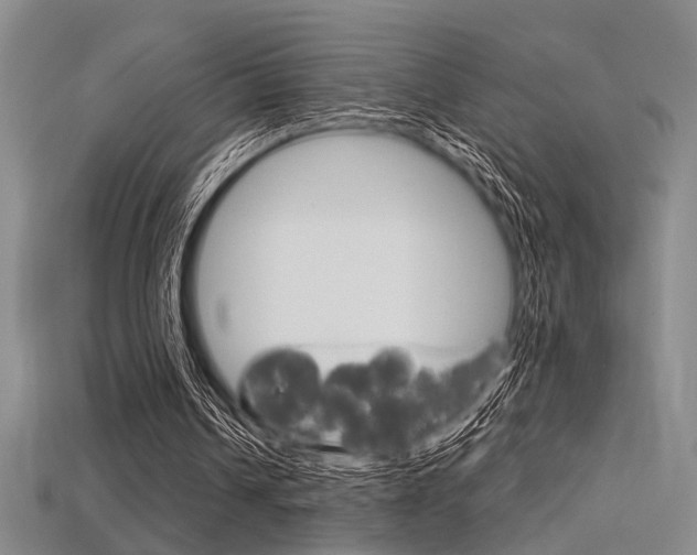 X0000115810242200911131048