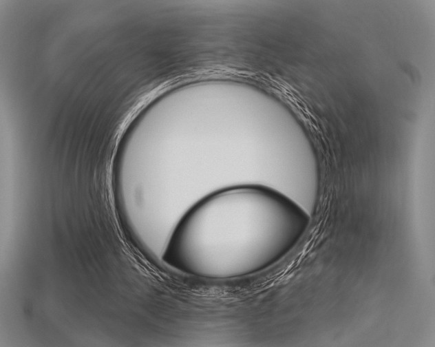 X0000115810244200911131048