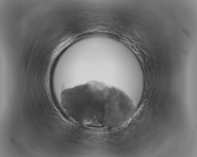 X0000115810245200911131048
