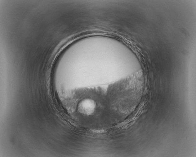 X0000115810247200911131048
