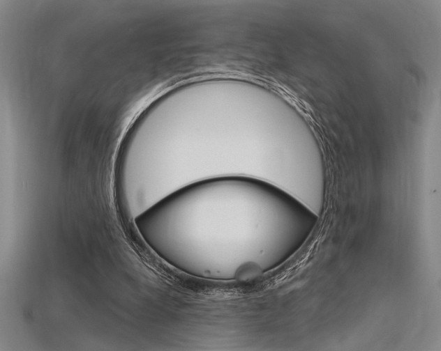 X0000115810248200911131048