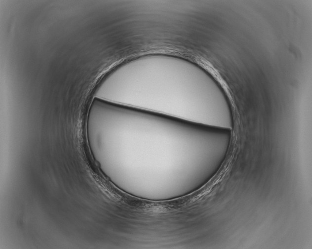 X0000115810249200911131048