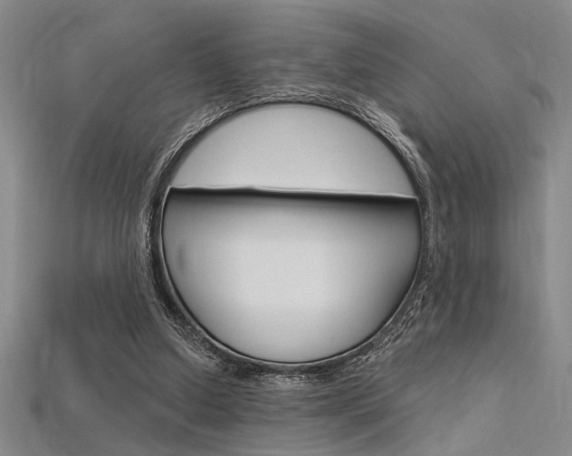 X0000115810250200911131048