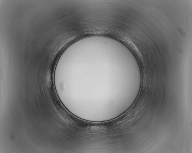 X0000115810251200911131048
