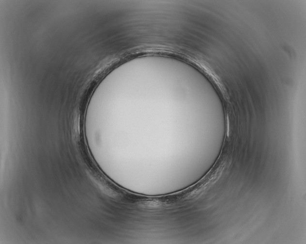 X0000115810253200911131048