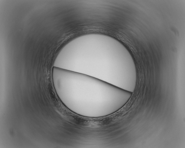 X0000115810255200911131048