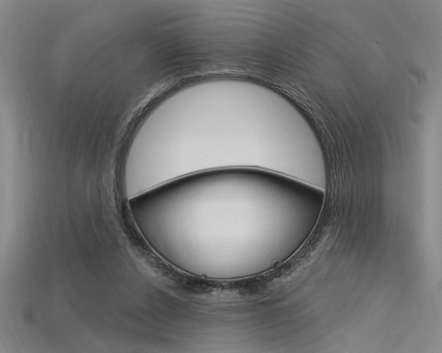 X0000115810256200911131048